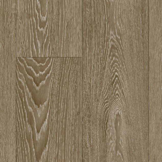 Concept - Driftwood